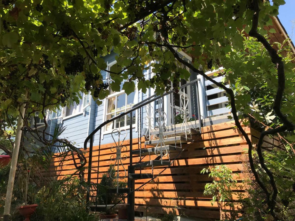 Eco Cottage Marina New Athos Exteriör bild