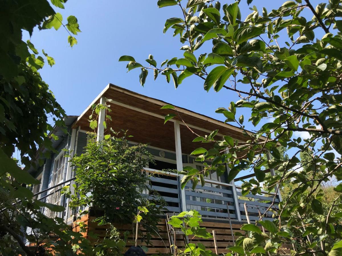 Eco Cottage Marina New Athos Exteriör bild